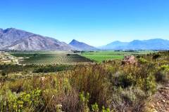 IMG-20221120-WA0299