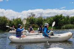 IMG-20221120-WA0327
