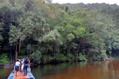 GARDEN ROUTE ROAD TRIP