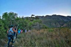 IMG-20210322-WA0035