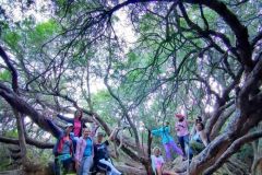IMG-20210322-WA0043