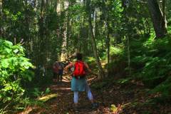 IMG-20221113-WA0093