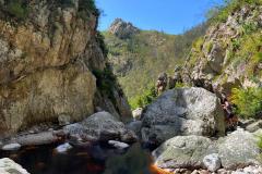 IMG-20221113-WA0181