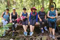 IMG-20221113-WA0342