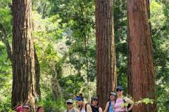 IMG-20221113-WA0347