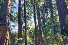 IMG-20221113-WA0360