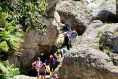 IMG-20221113-WA0387