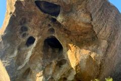 IMG-20220717-WA0267