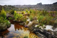 IMG-20220917-WA0148