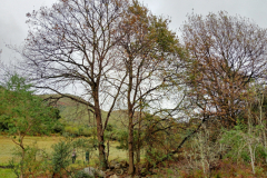 IMG20240622084346