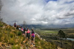 IMG-20211009-WA0021