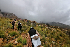 IMG-20211009-WA0037