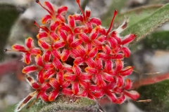 IMG-20230813-WA0140