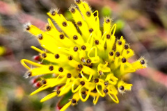 IMG-20230813-WA0142