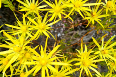 IMG-20230813-WA0148
