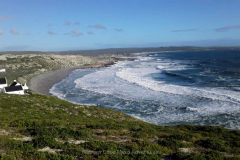 IMG-20220119-WA0049