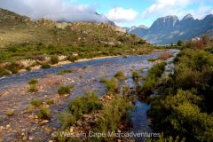 Women's Day Hike 2021