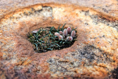 IMG-20250803-WA0312